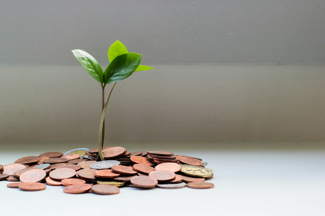 Money Work Begins With the Way You Treat Money