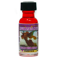 Aceite Aguantalo Aqui - Spiritual Oil - Lot Of 6 Units Wholesale