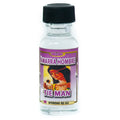 Aceite Amarra Hombres - Spiritual Oil - Lot Of 6 Units Wholesale